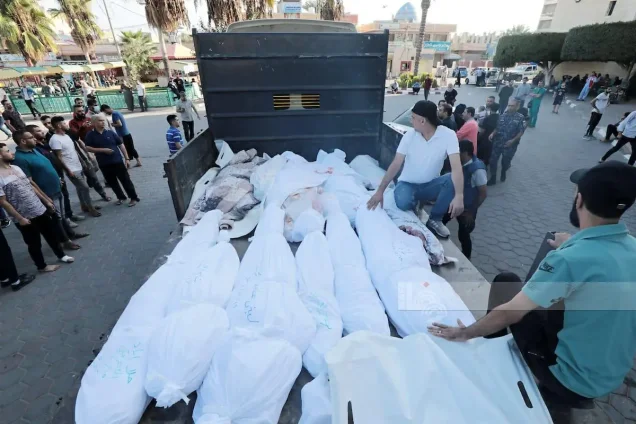 مجزرة عائلة العجرمي | فلسطيننا مجزرة عائلة العجرمي | فلسطيننا